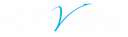 AeroVision